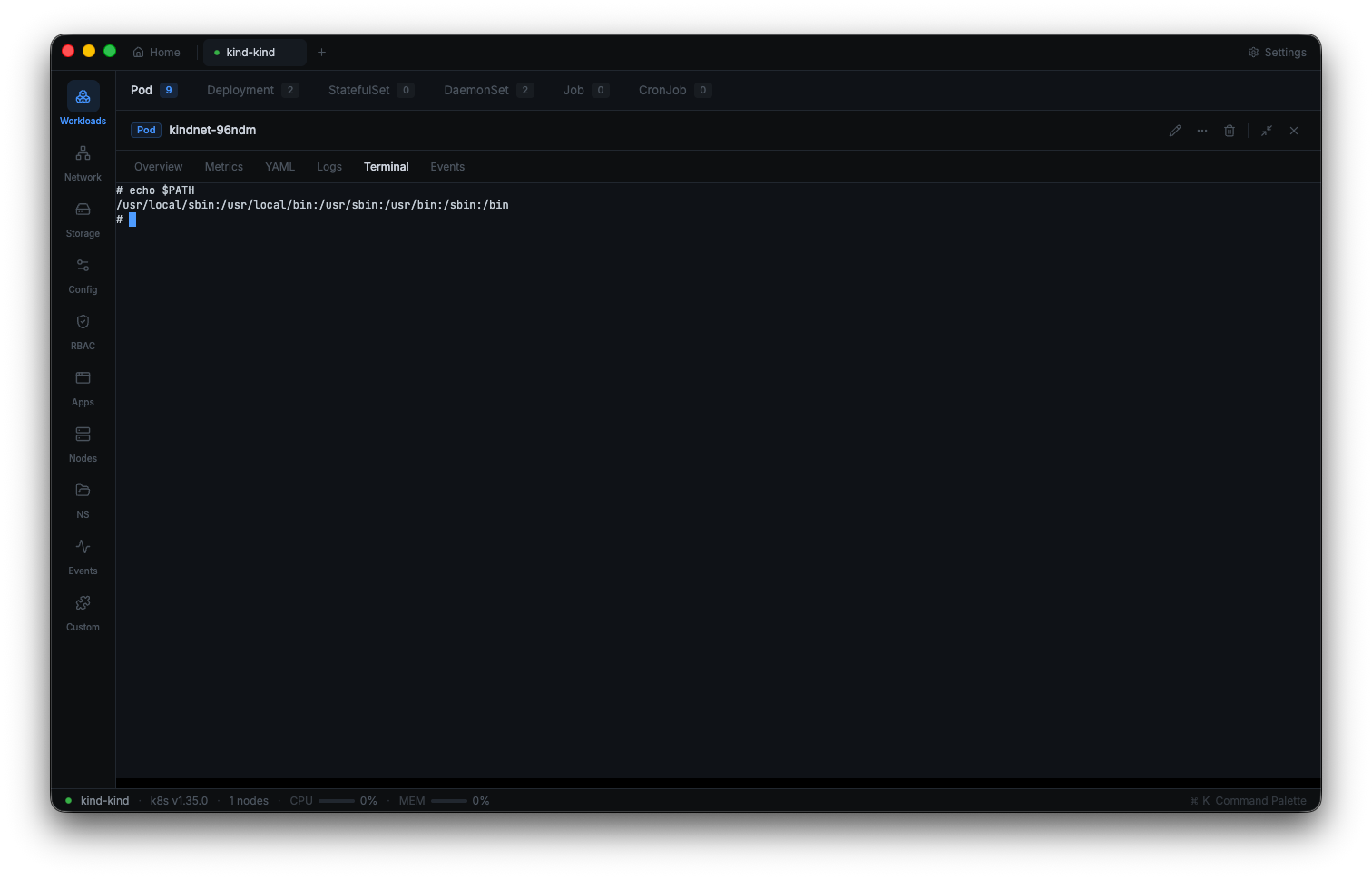 Pod terminal with interactive shell session